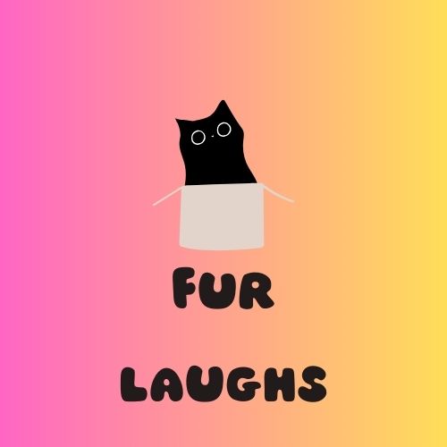 Fur Laughs 